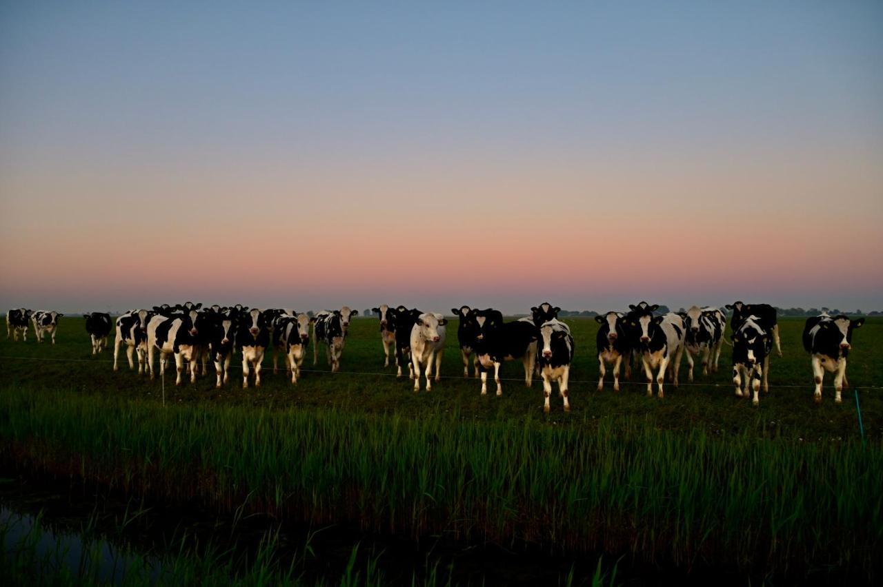 Vakantiehuis Het Voorhuis Op Landgoed Koepeltjesplaats Gaast Esterno foto