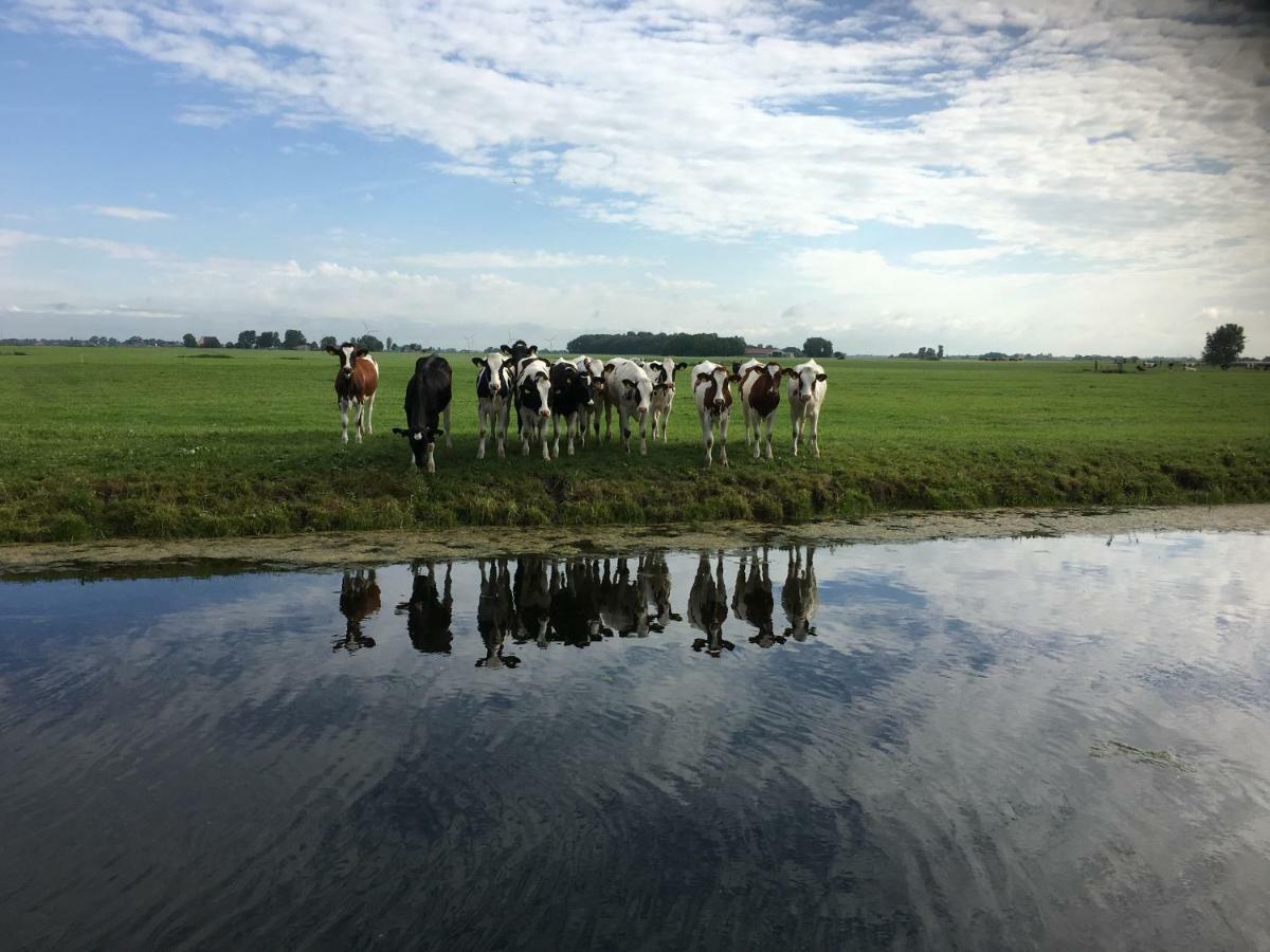 Vakantiehuis Het Voorhuis Op Landgoed Koepeltjesplaats Gaast Esterno foto