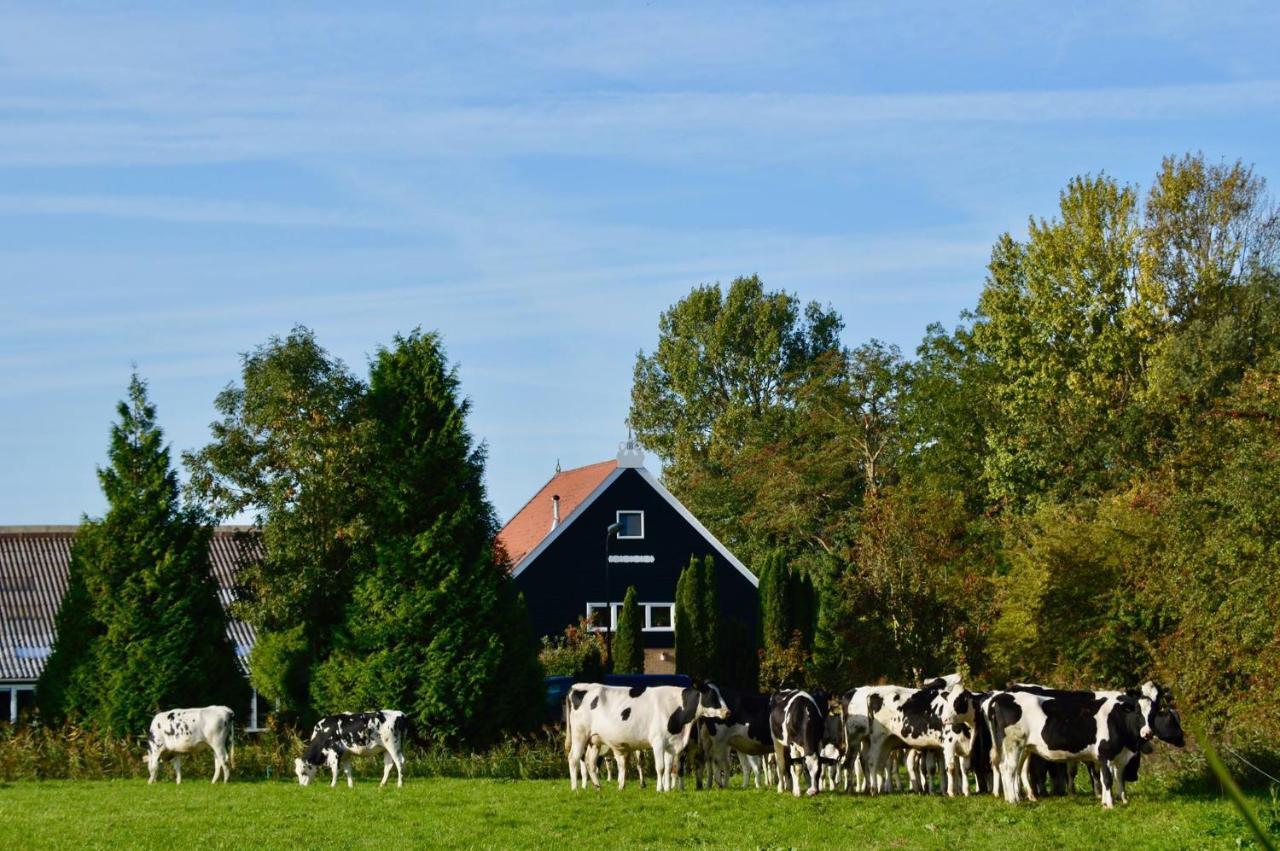 Vakantiehuis Het Voorhuis Op Landgoed Koepeltjesplaats Gaast Esterno foto