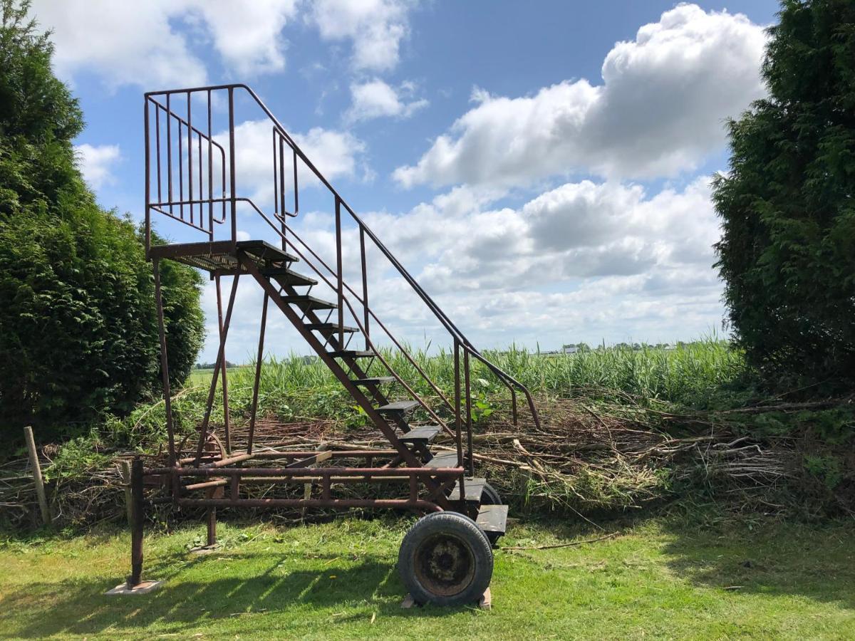 Vakantiehuis Het Voorhuis Op Landgoed Koepeltjesplaats Gaast Esterno foto