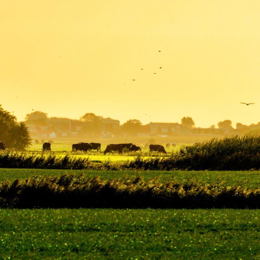 Vakantiehuis Het Voorhuis Op Landgoed Koepeltjesplaats Gaast Esterno foto