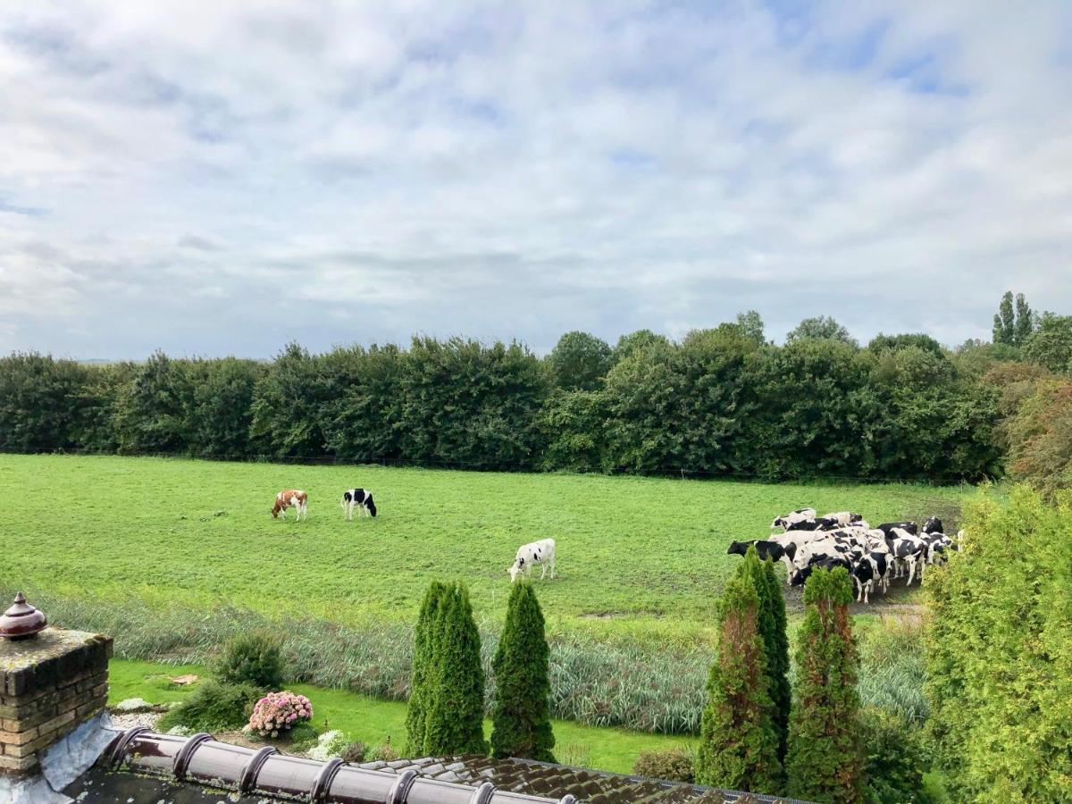 Vakantiehuis Het Voorhuis Op Landgoed Koepeltjesplaats Gaast Esterno foto