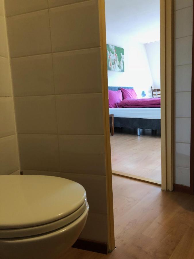 Vakantiehuis Het Voorhuis Op Landgoed Koepeltjesplaats Gaast Esterno foto