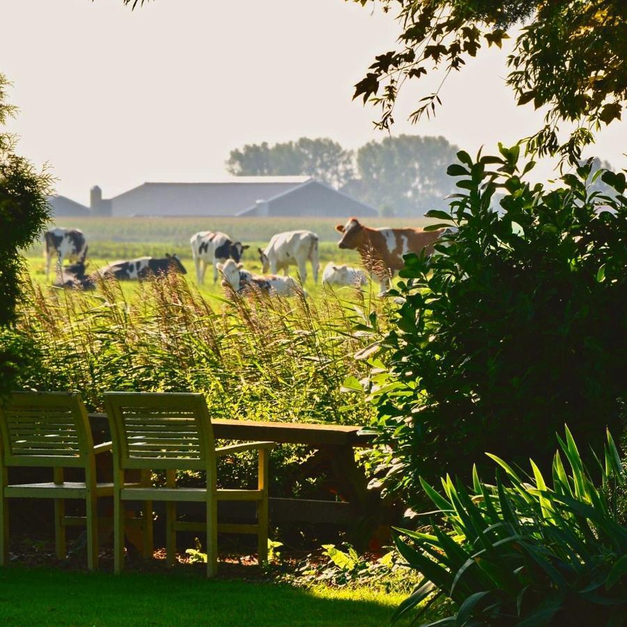 Vakantiehuis Het Voorhuis Op Landgoed Koepeltjesplaats Gaast Esterno foto